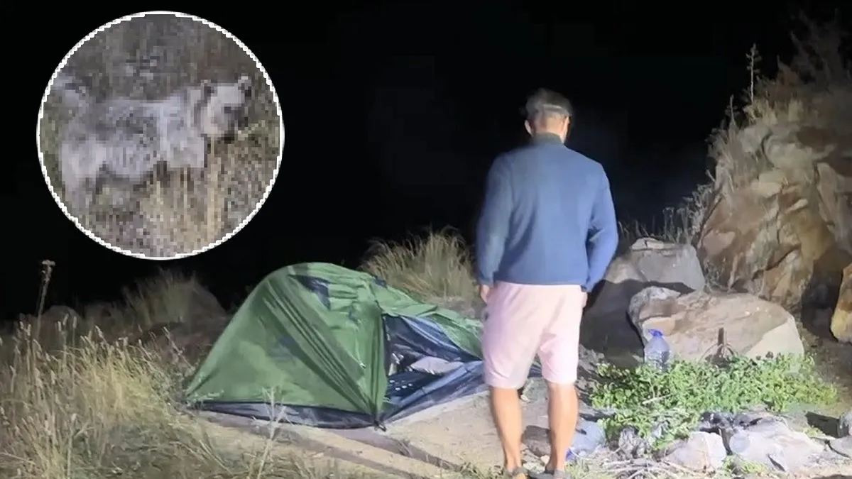 O ilimizde korku dolu anlar: Turistin zor anları kameralara yansıdı