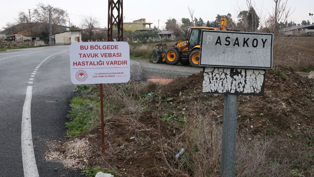 Hatay’da kuş gribi alarmı: Bir mahalle karantinaya alındı